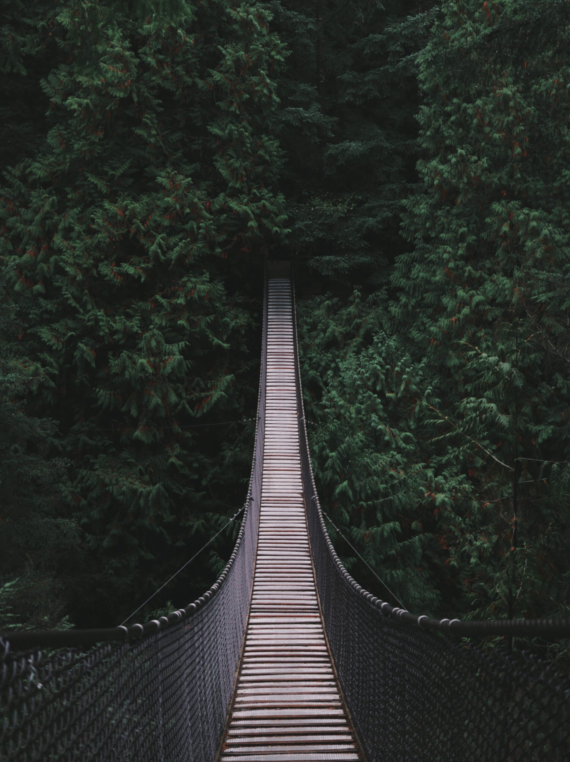 bridge over a gap employment history