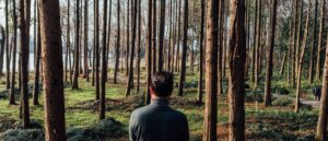 man wandering in trees thinking about trick questions in interviews